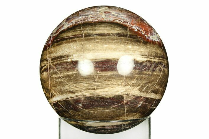 Colorful Polished Petrified Wood Sphere - Arizona #309208